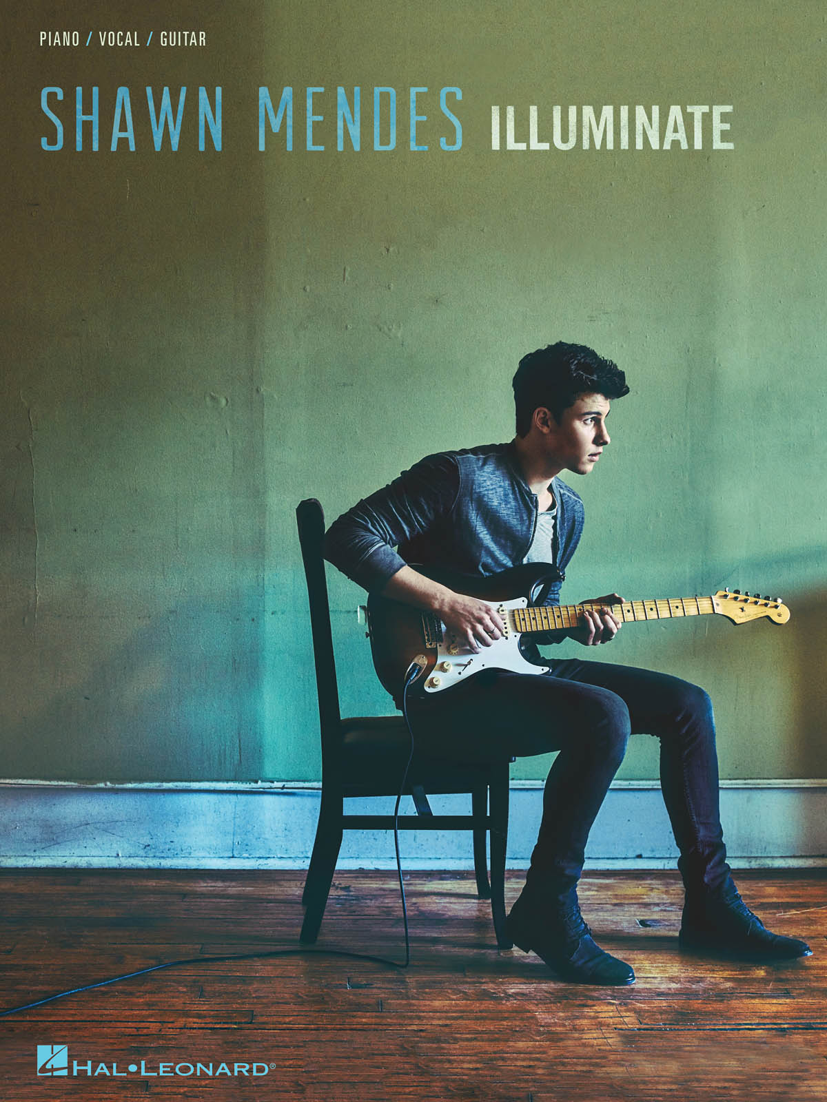 Shawn Mendes: Shawn Mendes - Illuminate: Piano  Vocal and Guitar: Album Songbook