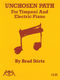 Brad Stirtz: Unchosen Path: Timpani: Instrumental Album