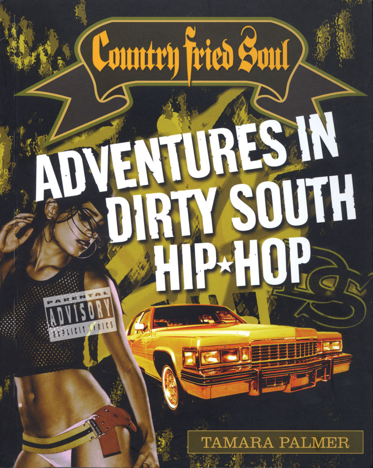 Country Fried Soul - Adv. In Dirty South Hip Hop: Reference Books