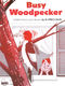 Busy Woodpecker: Piano: Instrumental Album