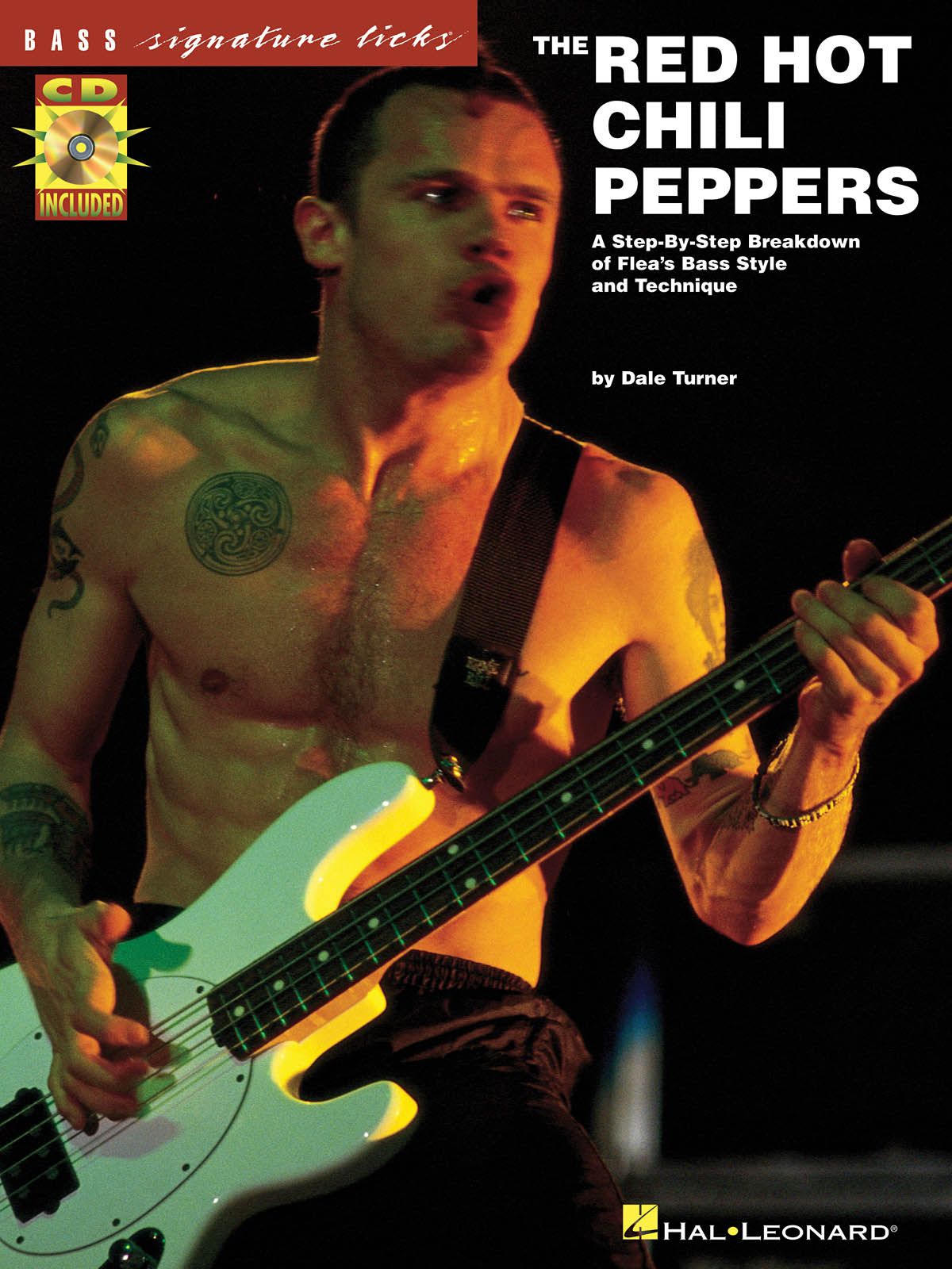 Flea Red Hot Chili Peppers: Bass Signature Licks: Bass Guitar Solo: Instrumental