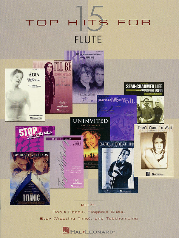 15 Top Hits: Flute Solo: Instrumental Album