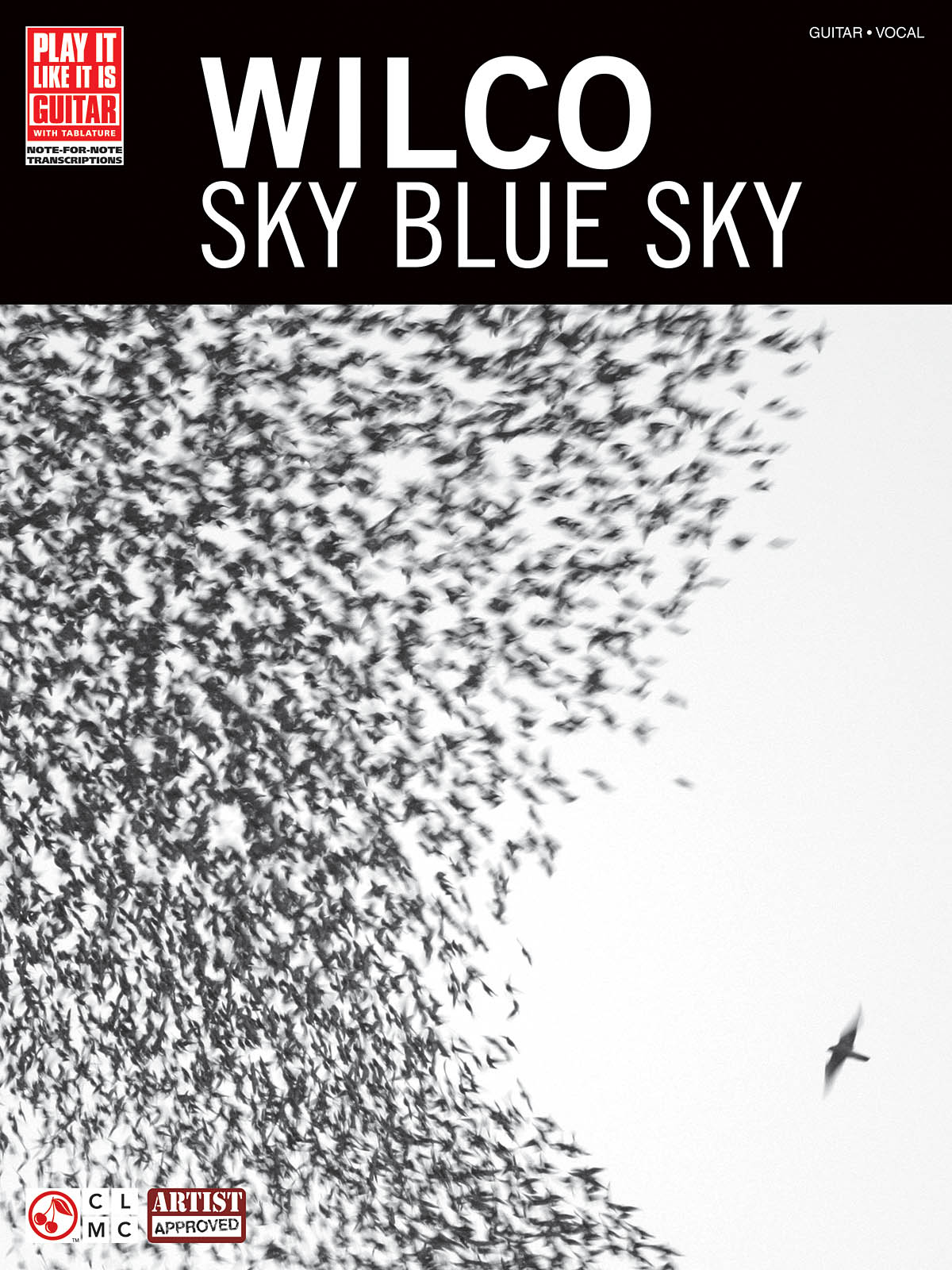 Wilco: Wilco - Sky Blue Sky: Guitar Solo: Instrumental Album
