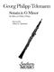 Georg Philipp Telemann: Sonata in G Minor: Oboe Solo: Instrumental Album