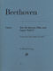 Ludwig van Beethoven: Trio For Piano  Flute And Bassoon WoO 37: Chamber