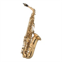 500 Series Eb Alto Saxophone Gold Lacquered: Alto Saxophone