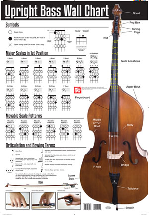 Upright Bass Wall Chart: Instrumental Reference