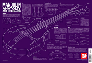Charlie Lee Georgescu: Mandolin Anatomy and Mechanics Wall Chart: Mandolin: