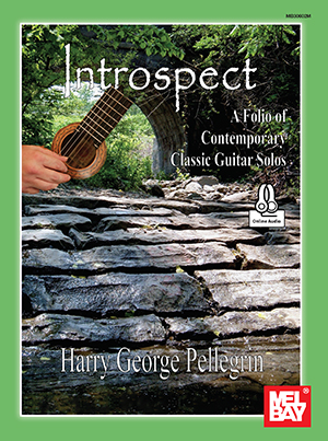 Harry George Pellegrin: Introspect: Guitar: Mixed Songbook