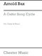 Arnold Bax: A Celtic Song Cycle: Voice: Vocal Album