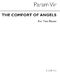 Param Vir: The Comfort Of Angels: Piano Duet: Instrumental Work
