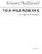 Edward MacDowell: To A Wild Rose: Voice: Vocal Work