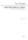 Paul Mealor: I Am The Gentle Light - Orchestral Version: 2-Part Choir: Vocal