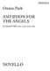 Owain Park: Antiphon For The Angels