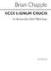Brian Chapple: Ecce Lignum Crucis: SATB: Vocal Score