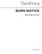 David Lang: Burn Notice (Flute & Cello Parts): Flute & Cello: Instrumental Work