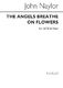 John Naylor: The Angels Breathe On Flowers: SATB: Vocal Score