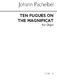 Johann Pachelbel: Ten Fugues On The Magnificat: Organ: Instrumental Album