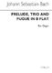 Johann Sebastian Bach: Prelude Trio and Fugue in B Flat: Organ: Instrumental