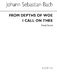 From The Depths Of Woe I Call On Thee (Cantata 38): Voice: Vocal Score