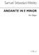 Andante In E Minor For Organ: Organ: Score