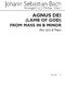 Johann Sebastian Bach: Agnus Dei: Alto: Vocal Work