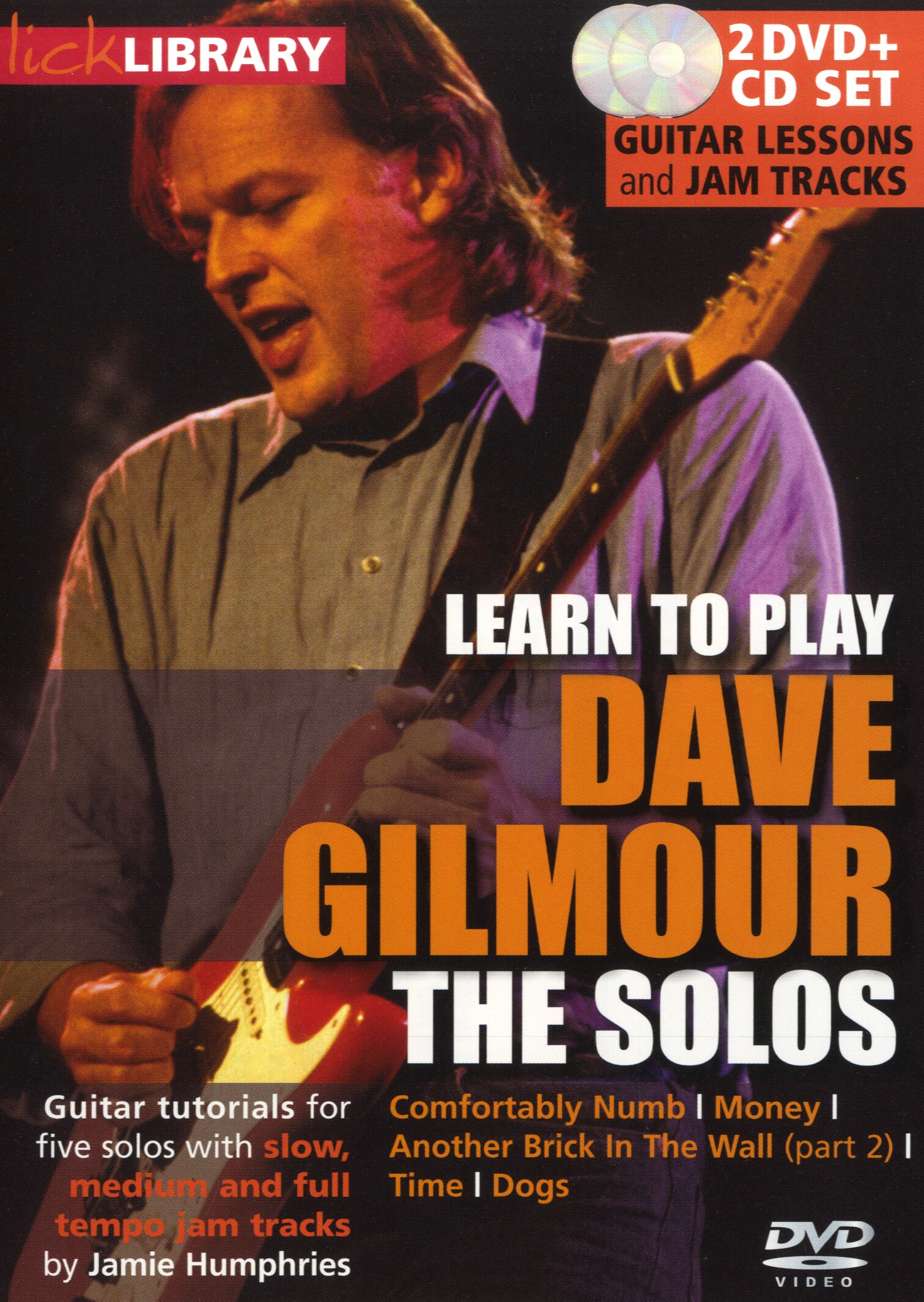 David Gilmour Pink Floyd: Learn To Play Dave Gilmour - The Solos: Guitar: