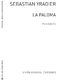 Sebastian Yradier: La Paloma Habanera (Diaz Cano) Guitar: Guitar: Instrumental