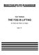 Carl Nielsen: The Fog is Lifting Op.41: Flute: Instrumental Work