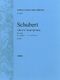 Franz Schubert: Mirjams Siegesgesang D942: Score