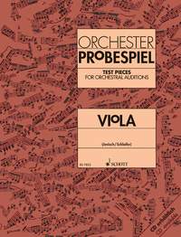 Orchester Probespiel Viola: Viola: Instrumental Album