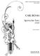 Spanish Dance in E Minor: Violin: Instrumental Work