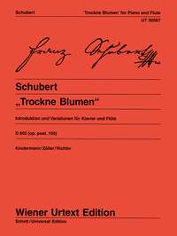 Franz Schubert: Introduz.E Var.Op.160(Kindermann/Zoeller/Richter): Flute: