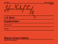 Johann Sebastian Bach: Little Organ Book BWV 599-644: Organ: Instrumental Album