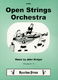 J. Widger: Open Strings Orchestra: Orchestra: Instrumental Album
