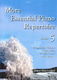 More Essential Piano Repertoire Vol.5: Piano: Instrumental Album