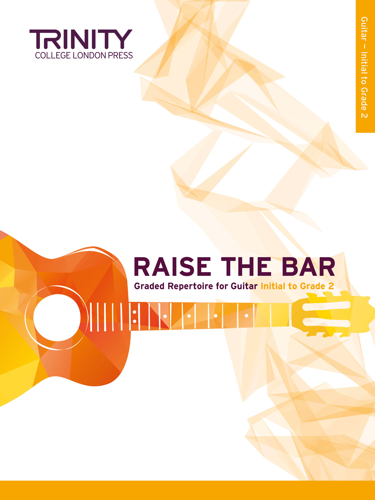 Raise The Bar Guitar: Guitar: Instrumental Album