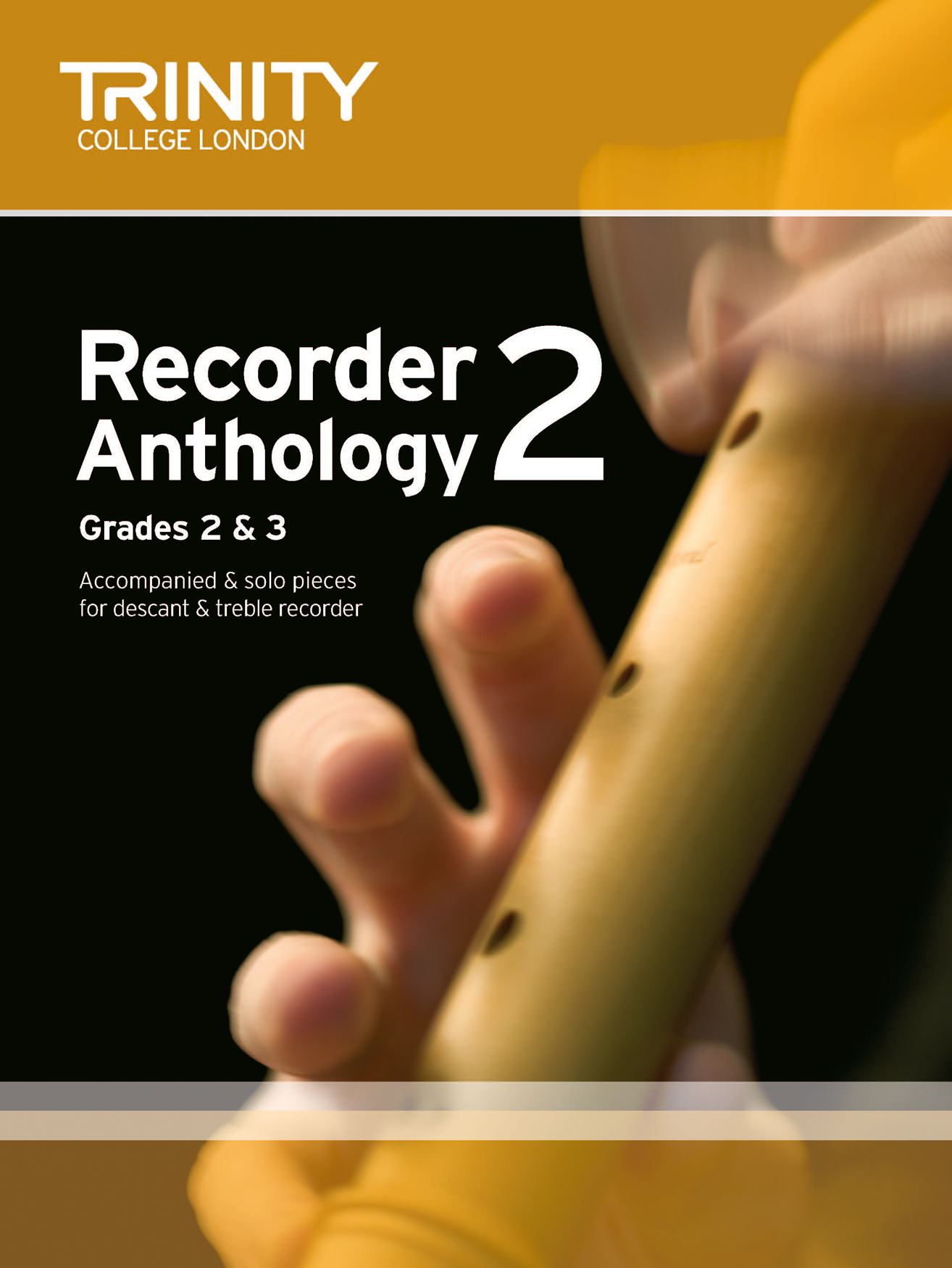 Recorder Anthology Book 2: Recorder: Instrumental Album