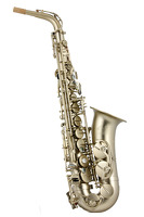 Horn 88 Alto Brushed Gold Finish: Alto Saxophone