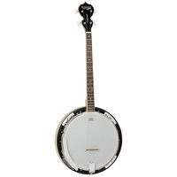 Tanglewood Four String Banjo: Banjo