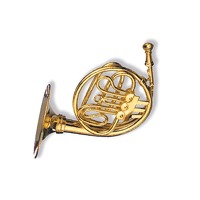 Miniature pin Horn: Jewellery