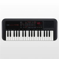 PSSA50 37 Mini Keys Keyboard in Black: Keyboard
