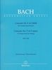 Bach, Johann Sebastian : Concerto pour clavecin en fa mineur BWV 1056 (n° 5) / Concerto for Harpsichord in F minor BWV 1056 (No. 5)