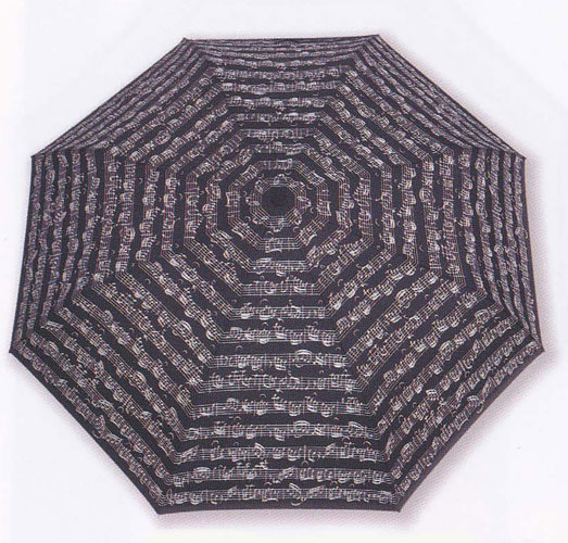 Parapluie de poche Noir - Porte Blanche